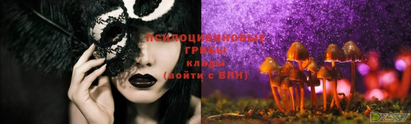 крисы Богородск