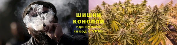 крисы Богородск