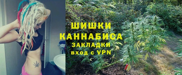 крисы Богородск
