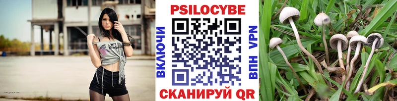 Галлюциногенные грибы Cubensis  Бугульма 
